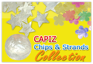 Capiz Philippine chips